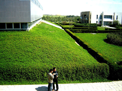 green campus