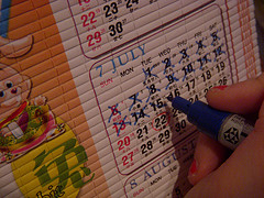 calendar_lastyearsgirl.jpg